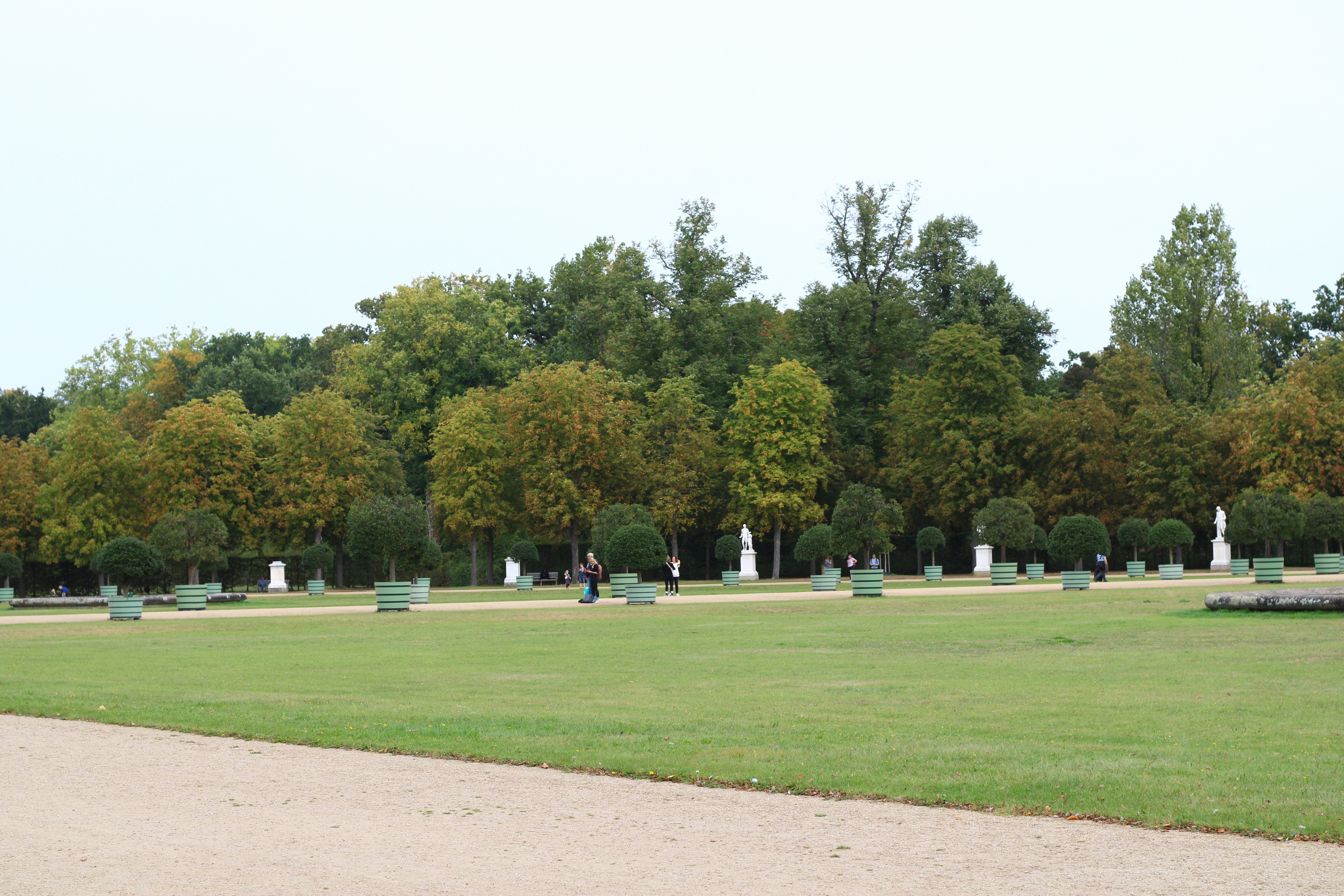 a park filled with lots of green grass and lots of trees