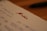 Notebook paper with mathematical equations written in blue ink, alongside the word 'Maths' written prominently in red ink. A pen, placed out of focus, lies on a wooden table in the background.