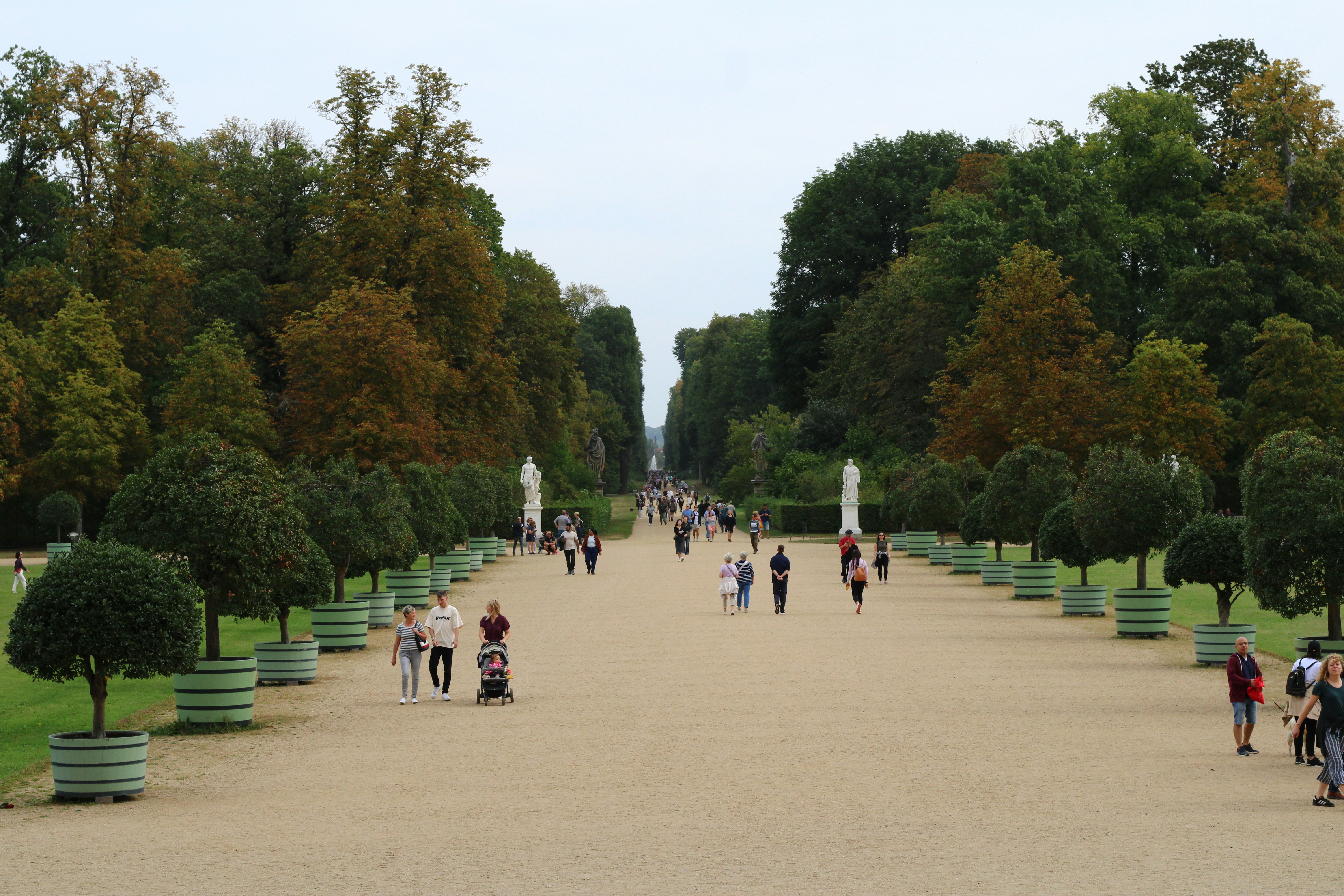 a group of people walking down a path in a park