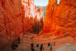 A group of people wearing backpacks are walking through a striking narrow canyon with towering orange-red rock formations. The sunlight casts dramatic shadows, enhancing the rich colors of the rocks. Sparse vegetation, including some trees, is visible in the canyon below.