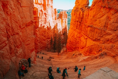 A group of people wearing backpacks are walking through a striking narrow canyon with towering orange-red rock formations. The sunlight casts dramatic shadows, enhancing the rich colors of the rocks. Sparse vegetation, including some trees, is visible in the canyon below.