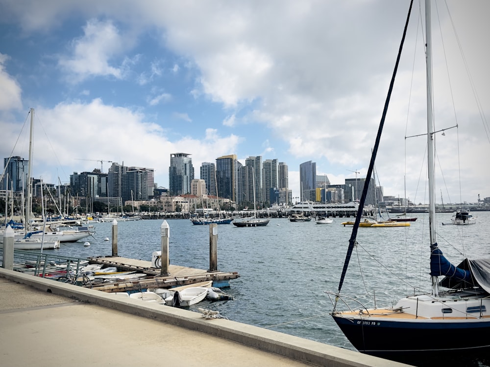 a harbor filled with lots of boats next to a city