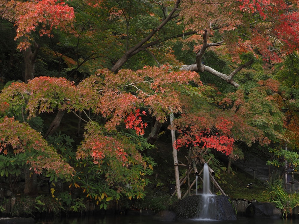 a small waterfall in the middle of a forest