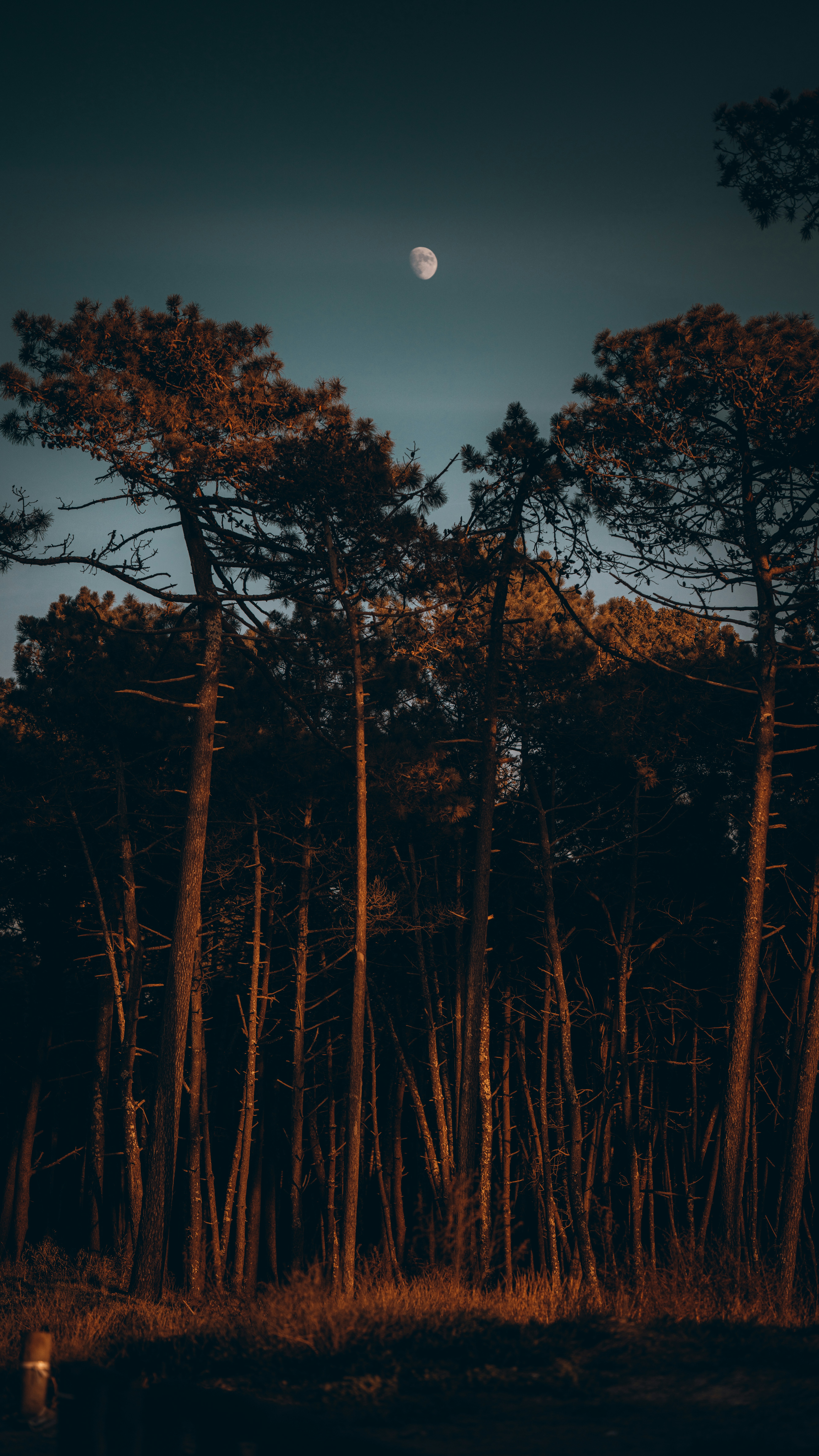 Photo by jamiedrakehd