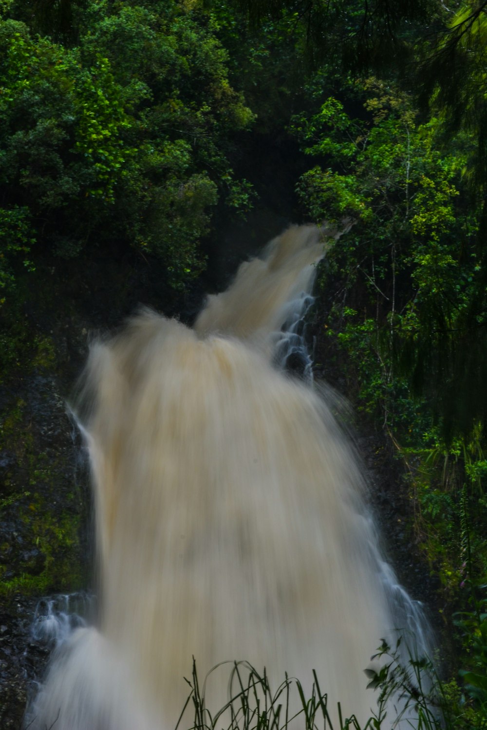 a large waterfall in the middle of a forest