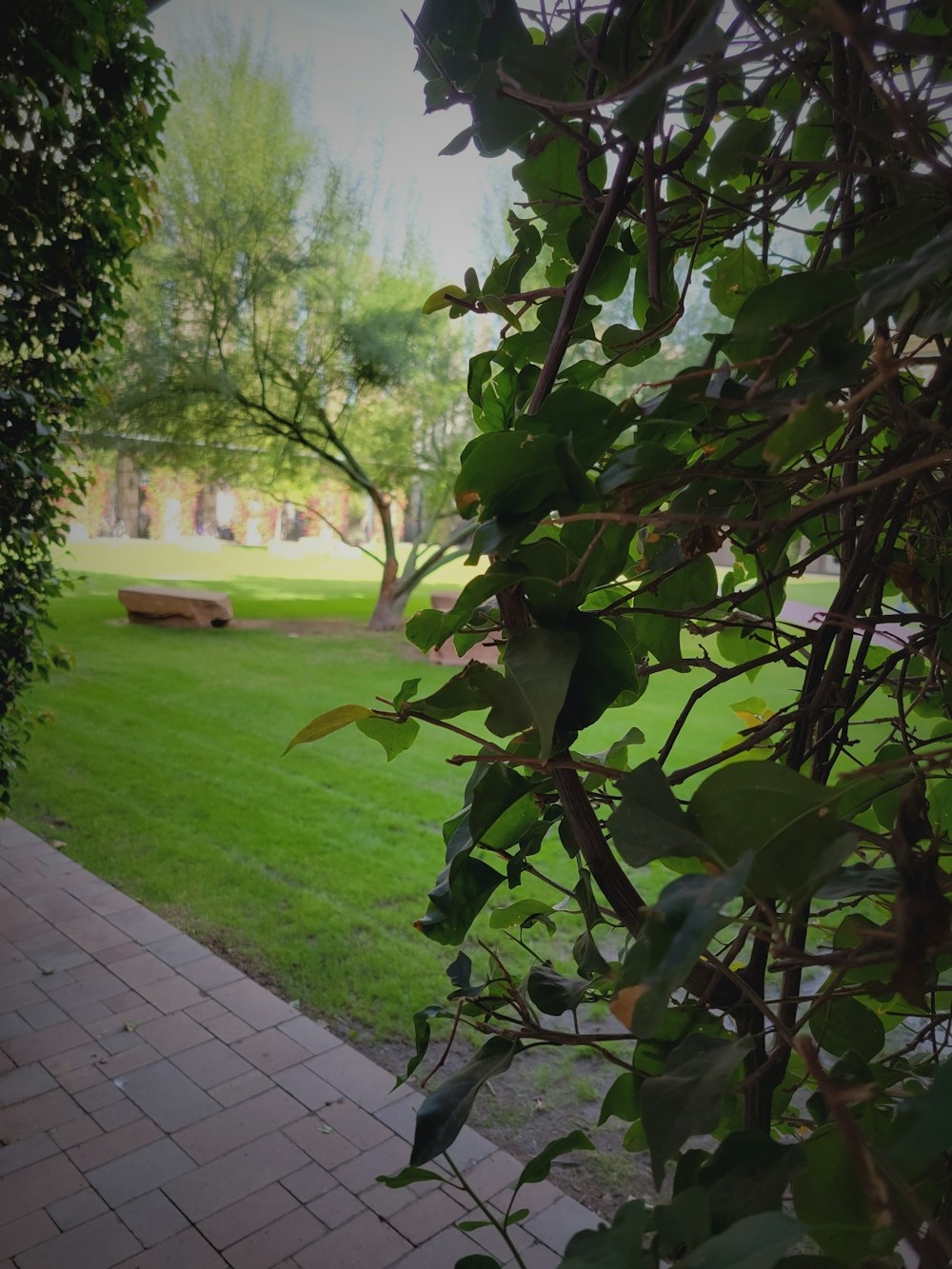 a bench sitting in the middle of a lush green park