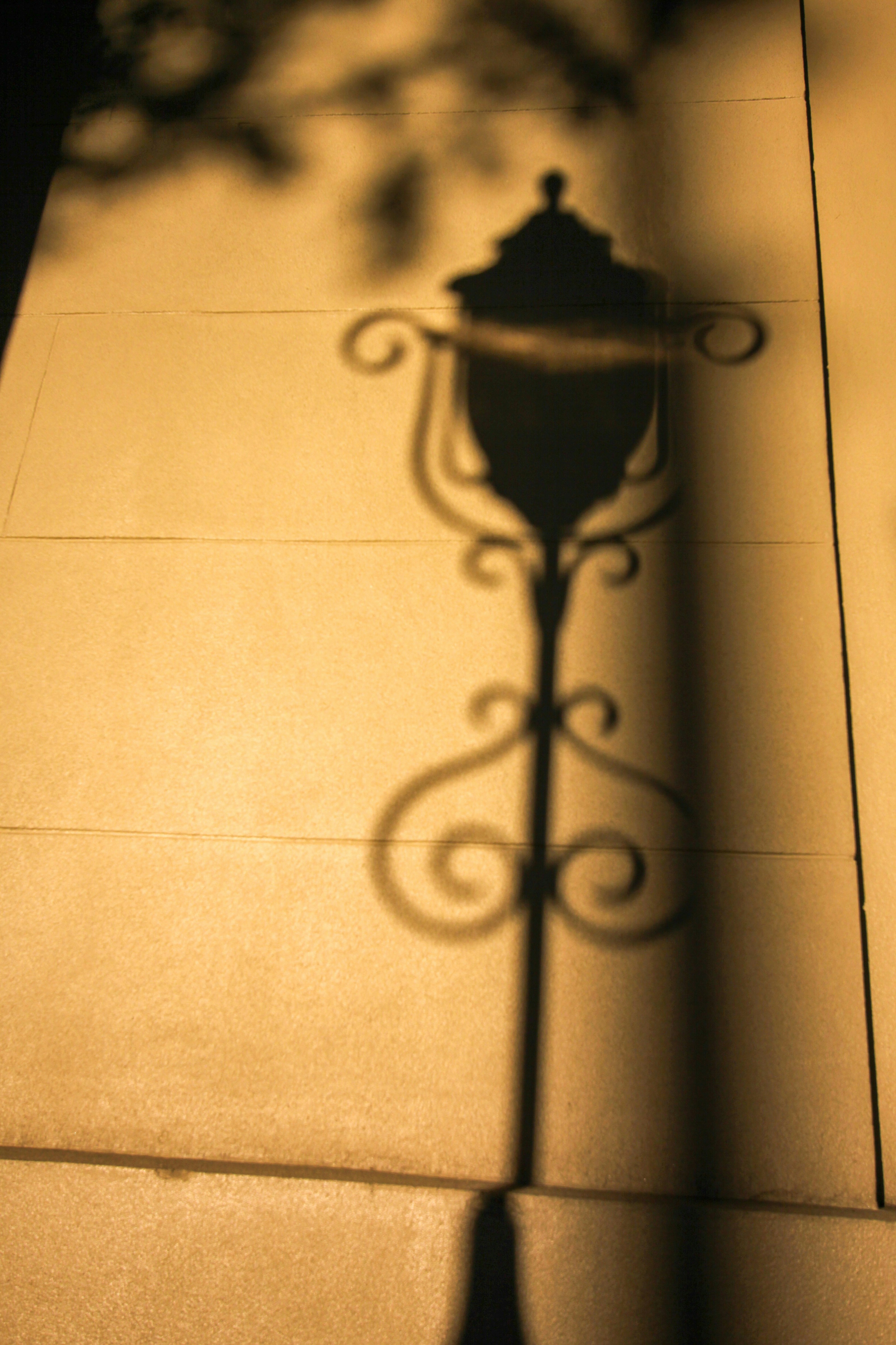 Photo by alla_kemelmakher