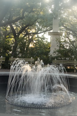 A serene public fountain with water jets forms a circular pattern in a shallow basin. In the background, dense foliage and gnarled tree branches filter soft sunlight, surrounding wooden benches and a column or monument.