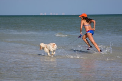 A woman in a blue bikini and orange cap runs along the shoreline with a leashed dog. The dog is light-colored with fluffy fur, and both appear to be splashing through shallow water. The beach setting includes clear skies and calm seas, with a distant view of buildings on the horizon.