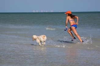 A woman in a blue bikini and orange cap runs along the shoreline with a leashed dog. The dog is light-colored with fluffy fur, and both appear to be splashing through shallow water. The beach setting includes clear skies and calm seas, with a distant view of buildings on the horizon.