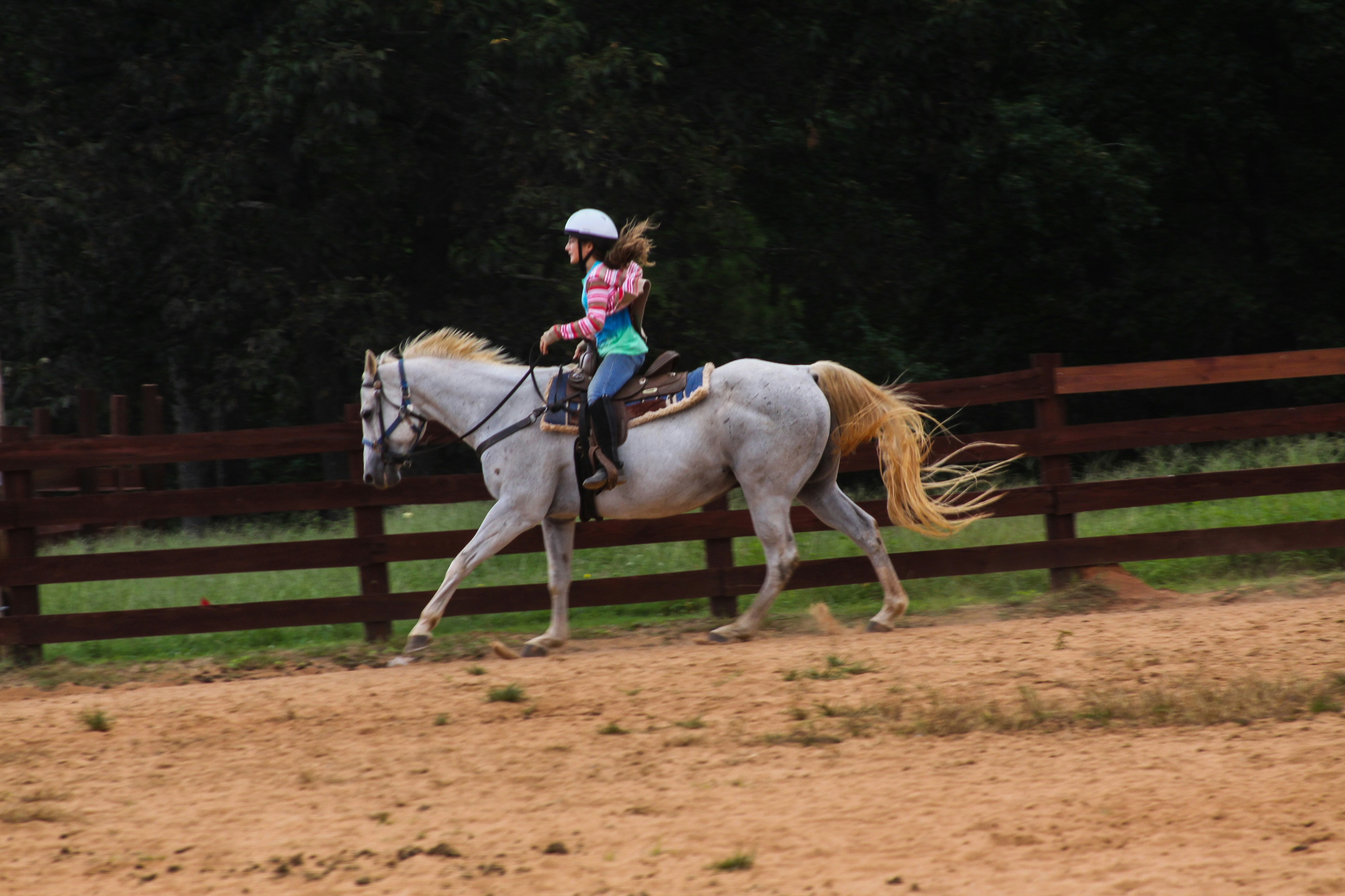 Child wearing horse riding helmet during equestrian lesson