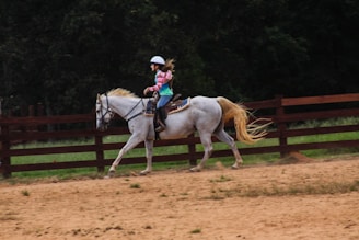 A person wearing a helmet rides a galloping white horse in an outdoor arena. The horse is moving swiftly across a sandy surface, enclosed by a wooden fence. Trees and greenery can be seen in the background, contributing to the rural and natural setting.