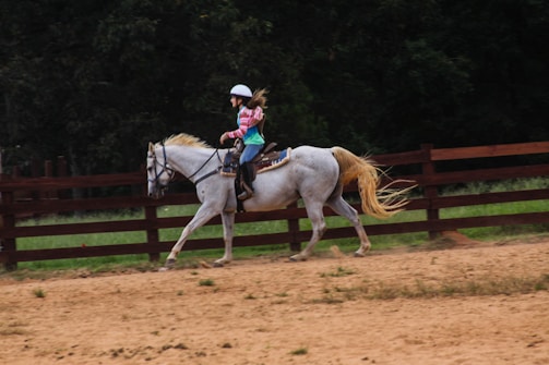 A person wearing a helmet rides a galloping white horse in an outdoor arena. The horse is moving swiftly across a sandy surface, enclosed by a wooden fence. Trees and greenery can be seen in the background, contributing to the rural and natural setting.