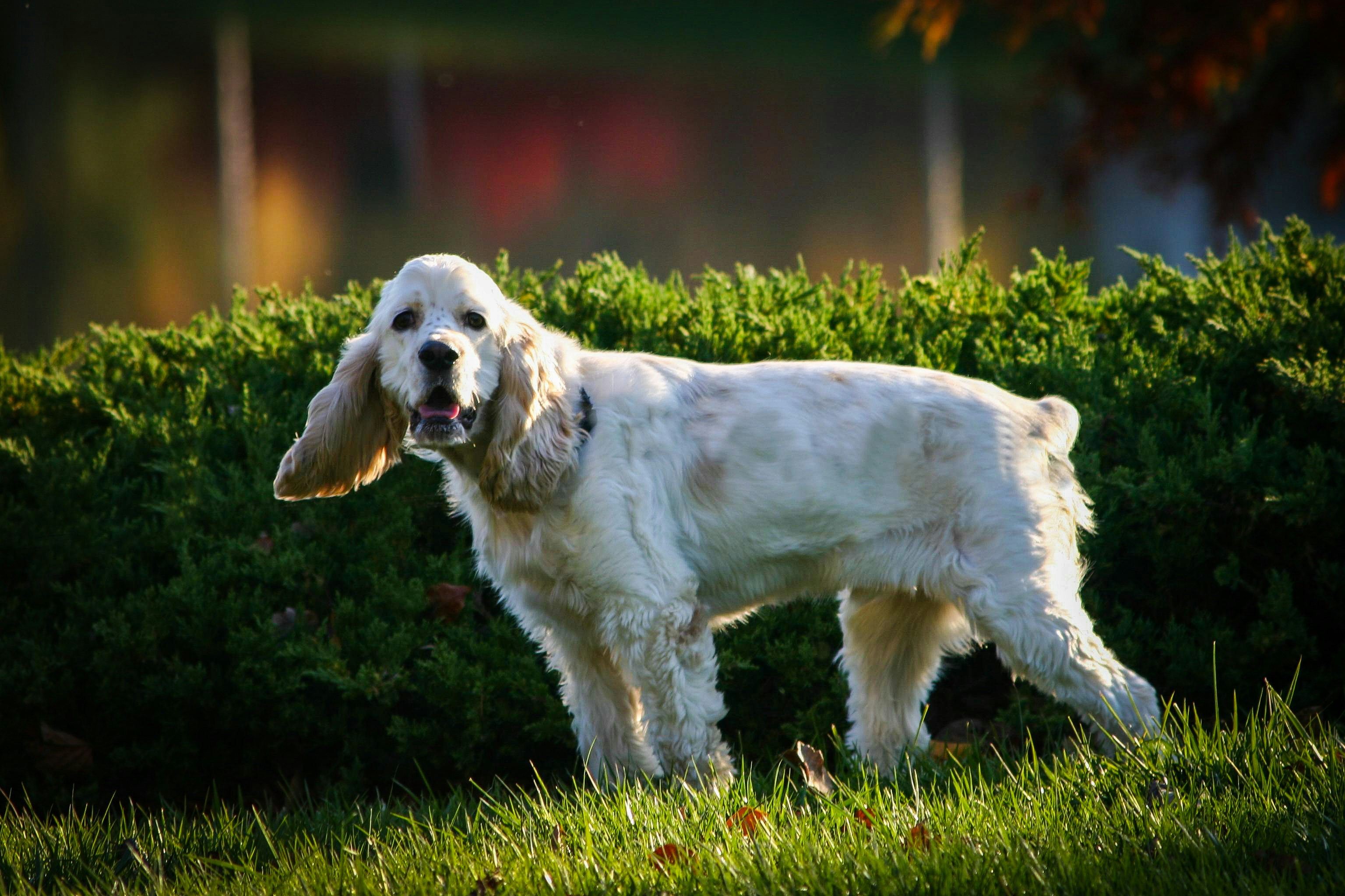 Photo by alla_kemelmakher