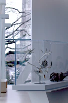a glass display case with a deer head on it