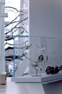 a glass display case with a deer head on it
