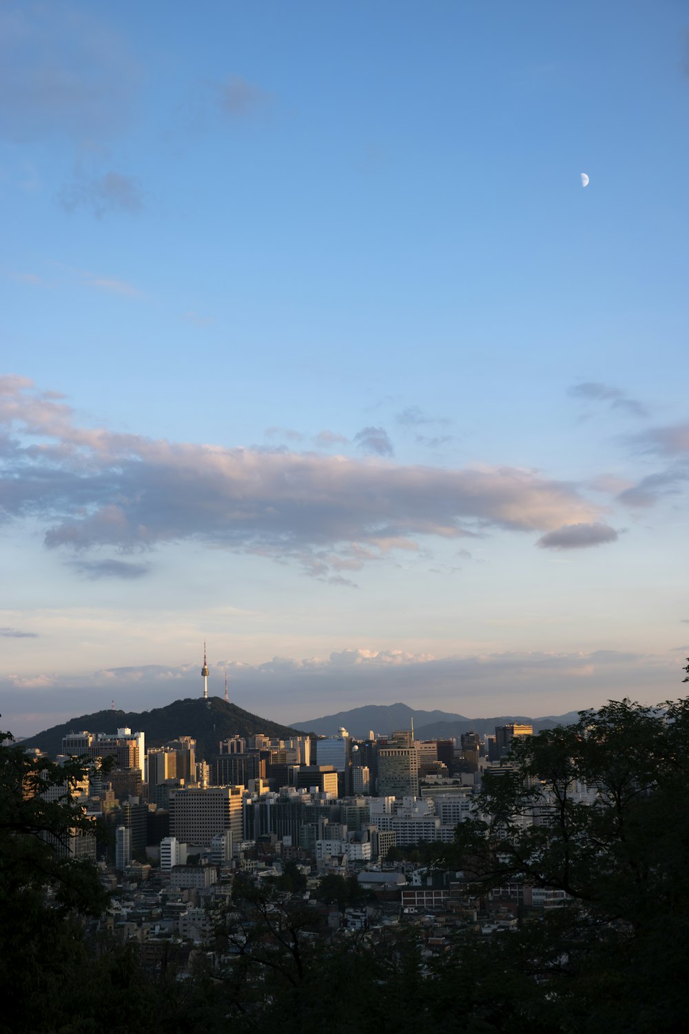 a view of a city from a hill