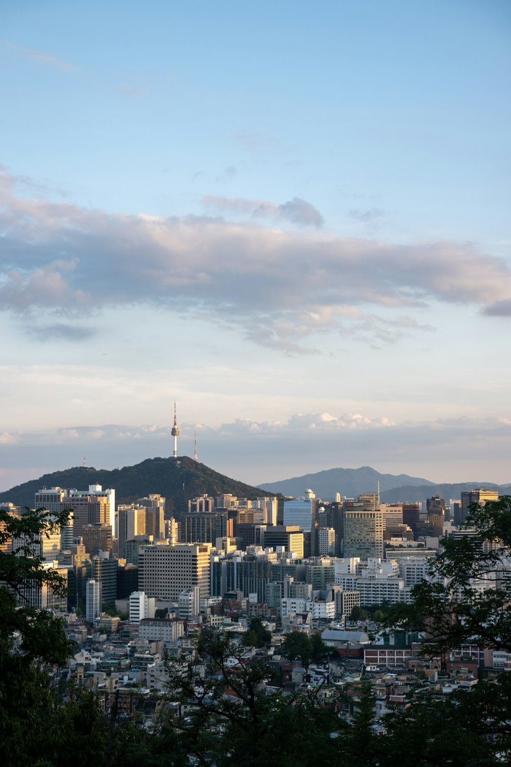 a view of a city with a mountain in the background