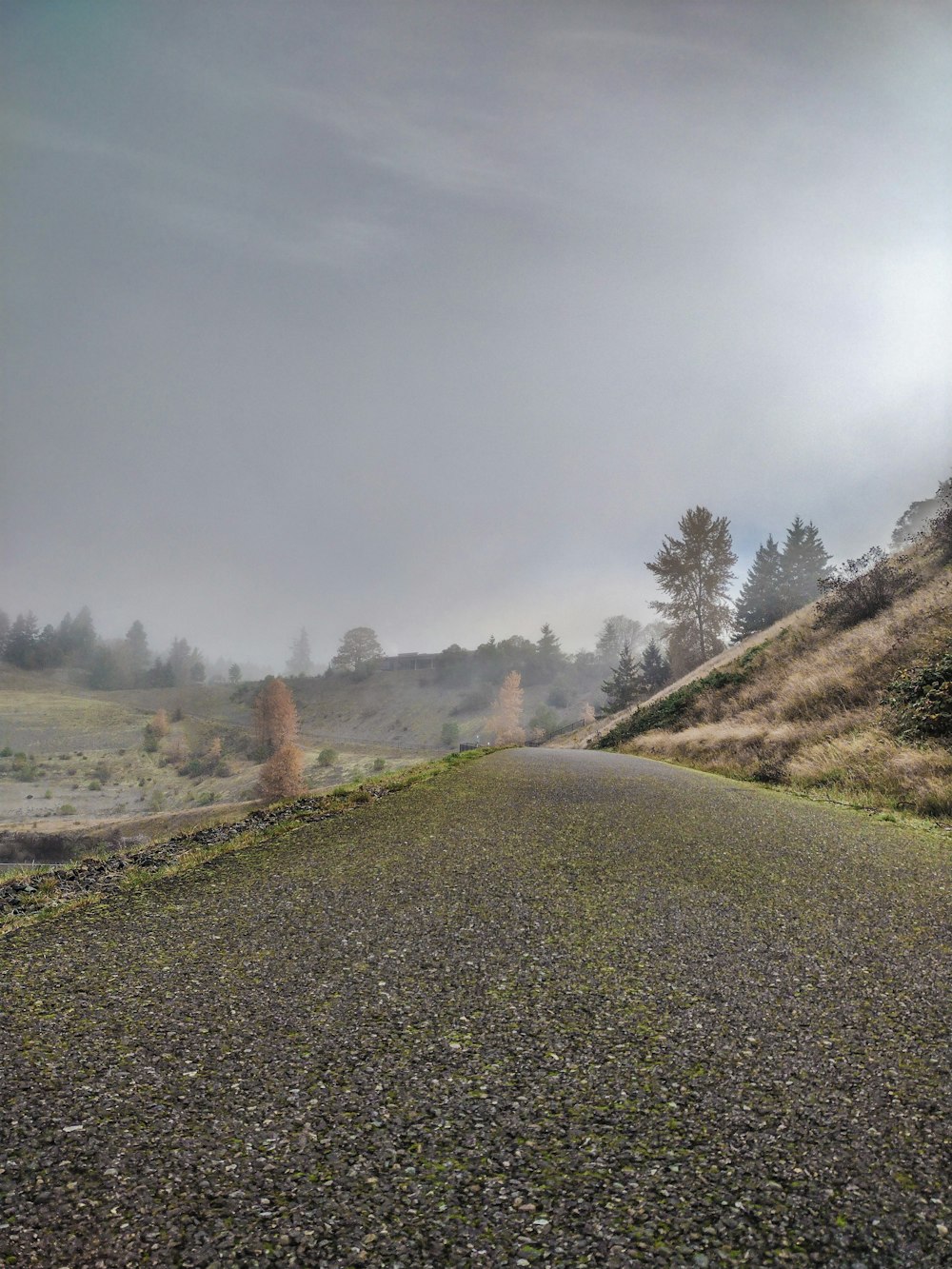 an empty road in the middle of a field