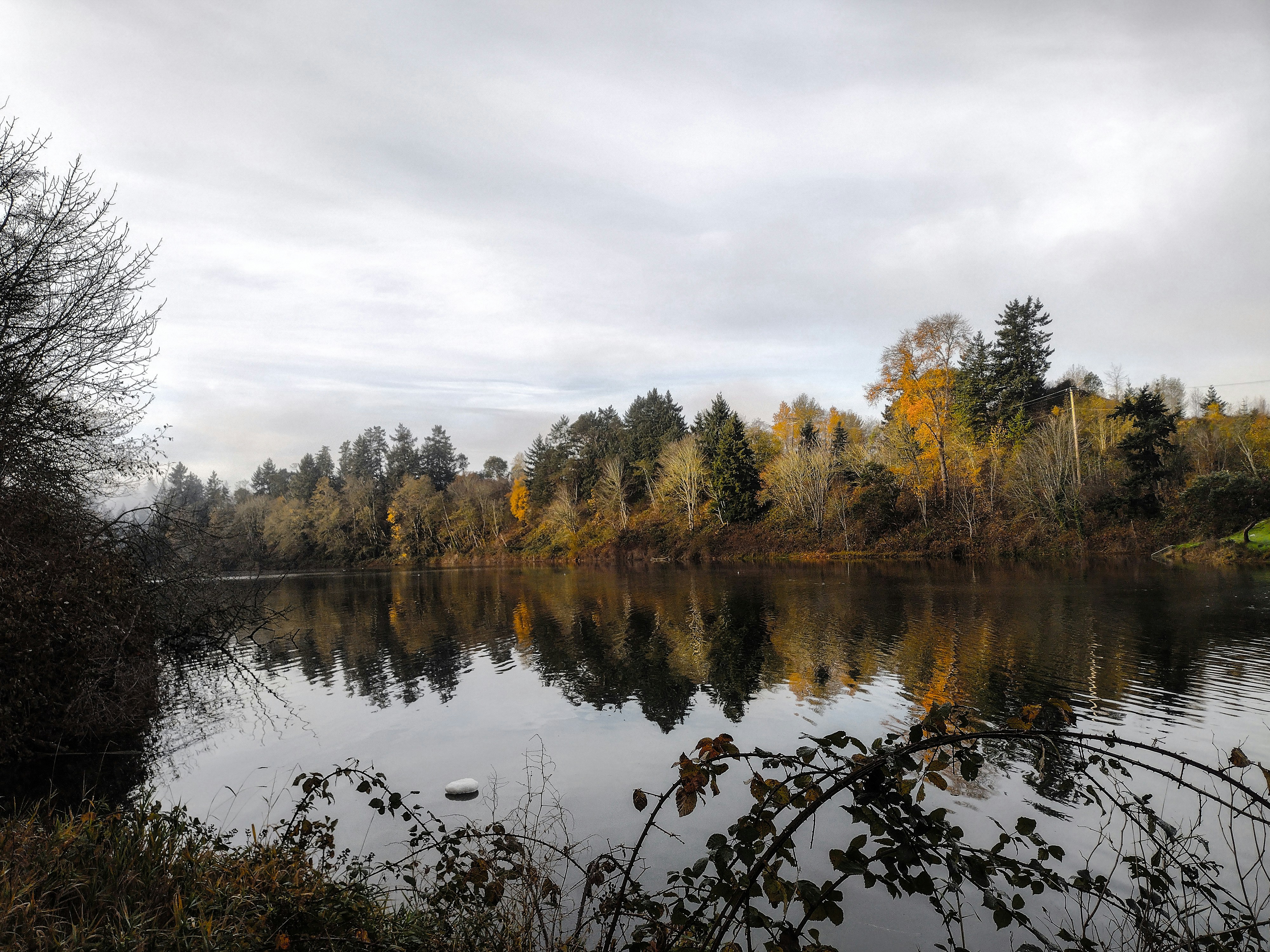 Photo by prphotography262