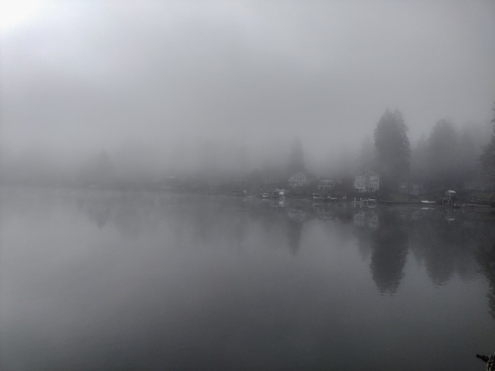 a body of water surrounded by trees and fog