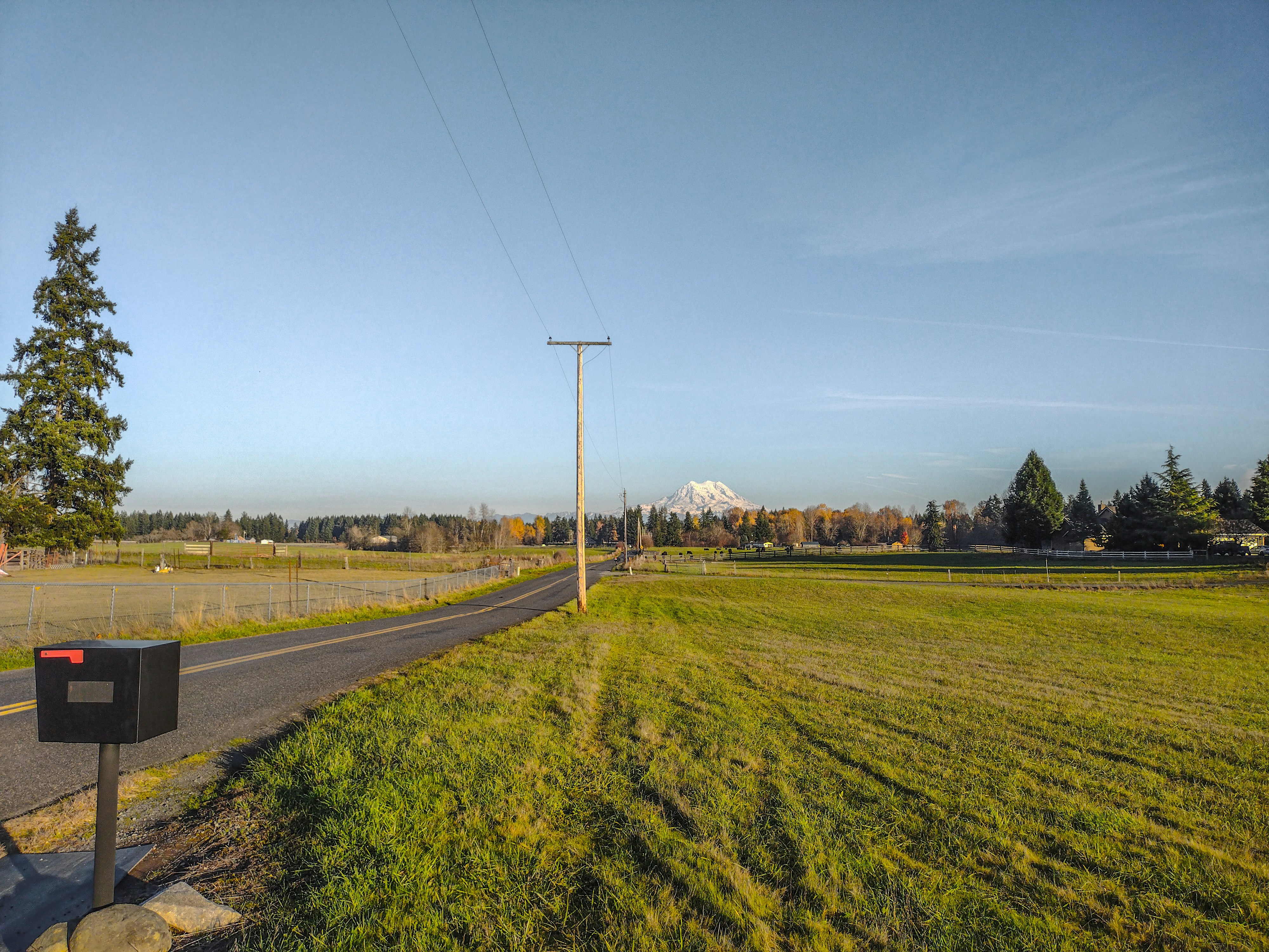 Passport services in Homestead Meadows South