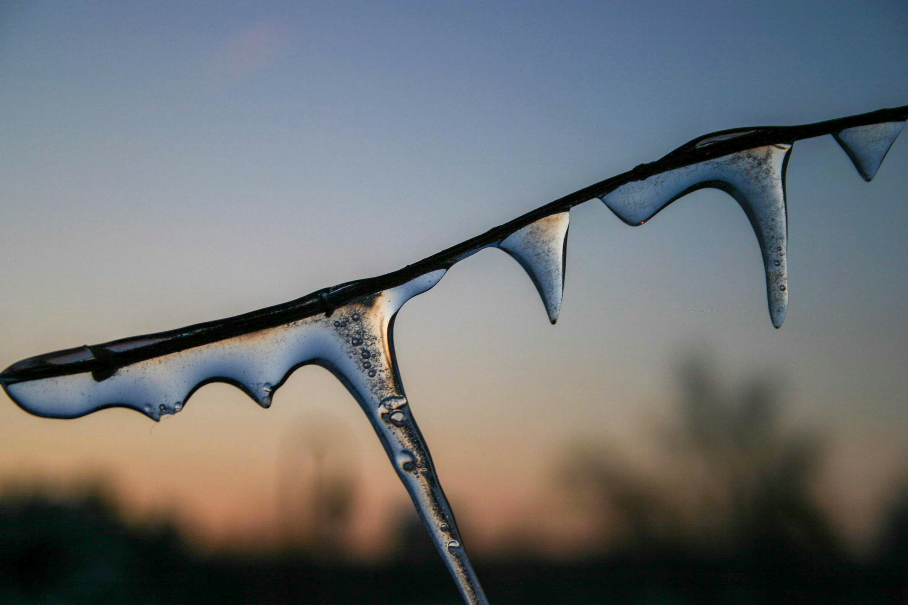 Photo by alla_kemelmakher