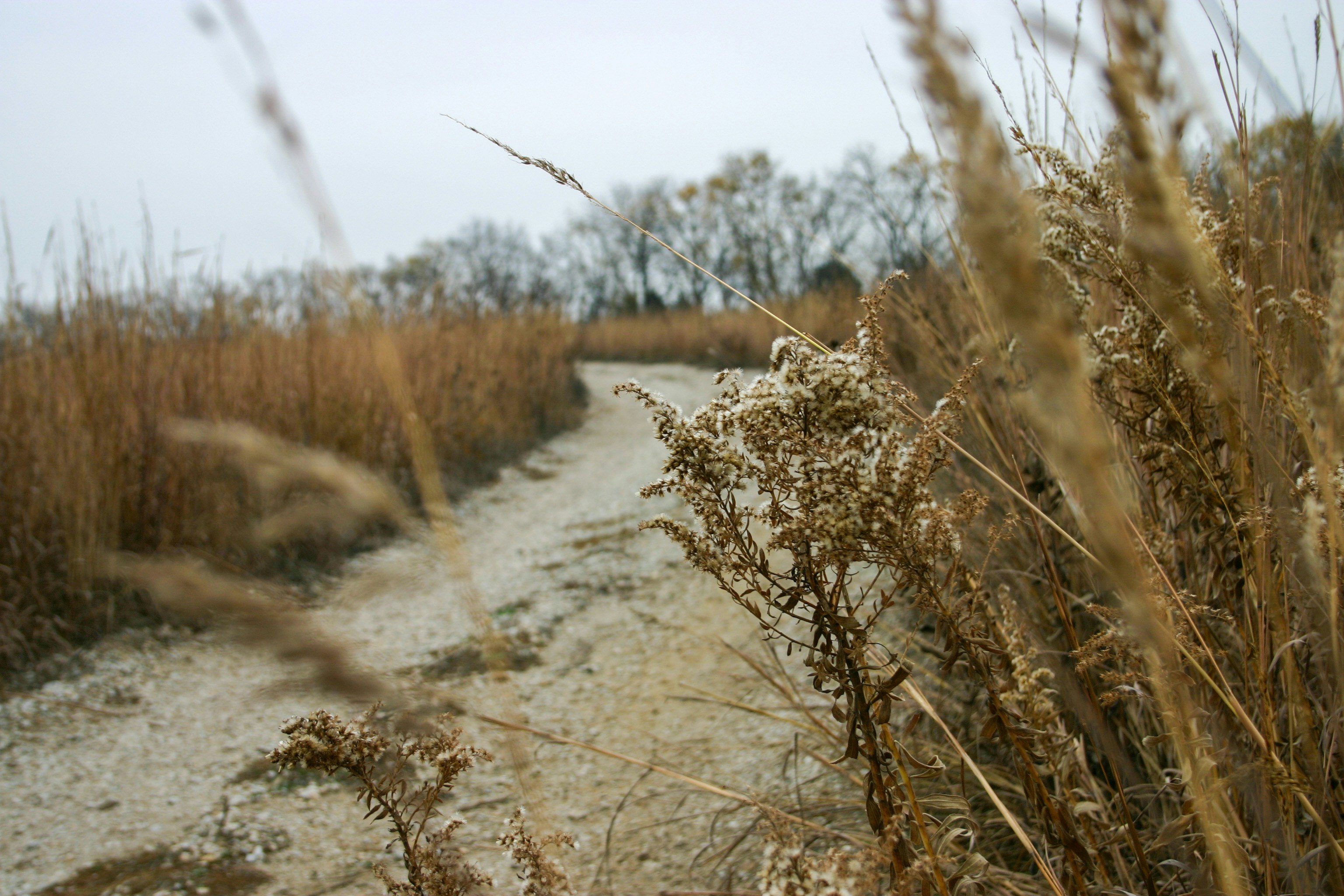 Photo by alla_kemelmakher