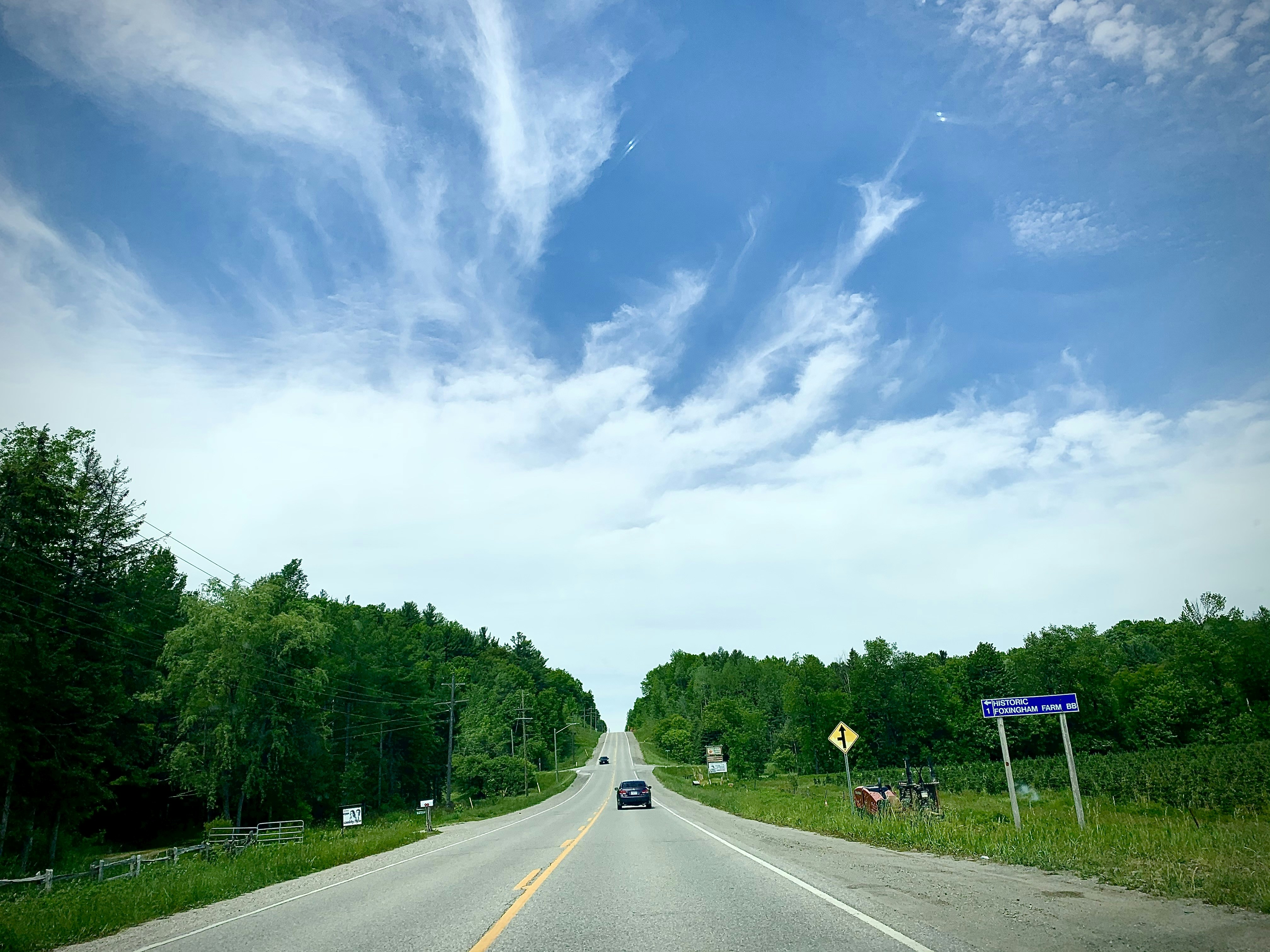a car driving down a road next to a forest