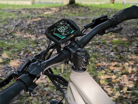 The image depicts the handlebars of an electric bicycle in a park setting. The handlebars include a digital display showing a speed of 00.0 km/h and other indicators. The bike is situated on a leaf-covered ground with a lush, green background of trees and grass.