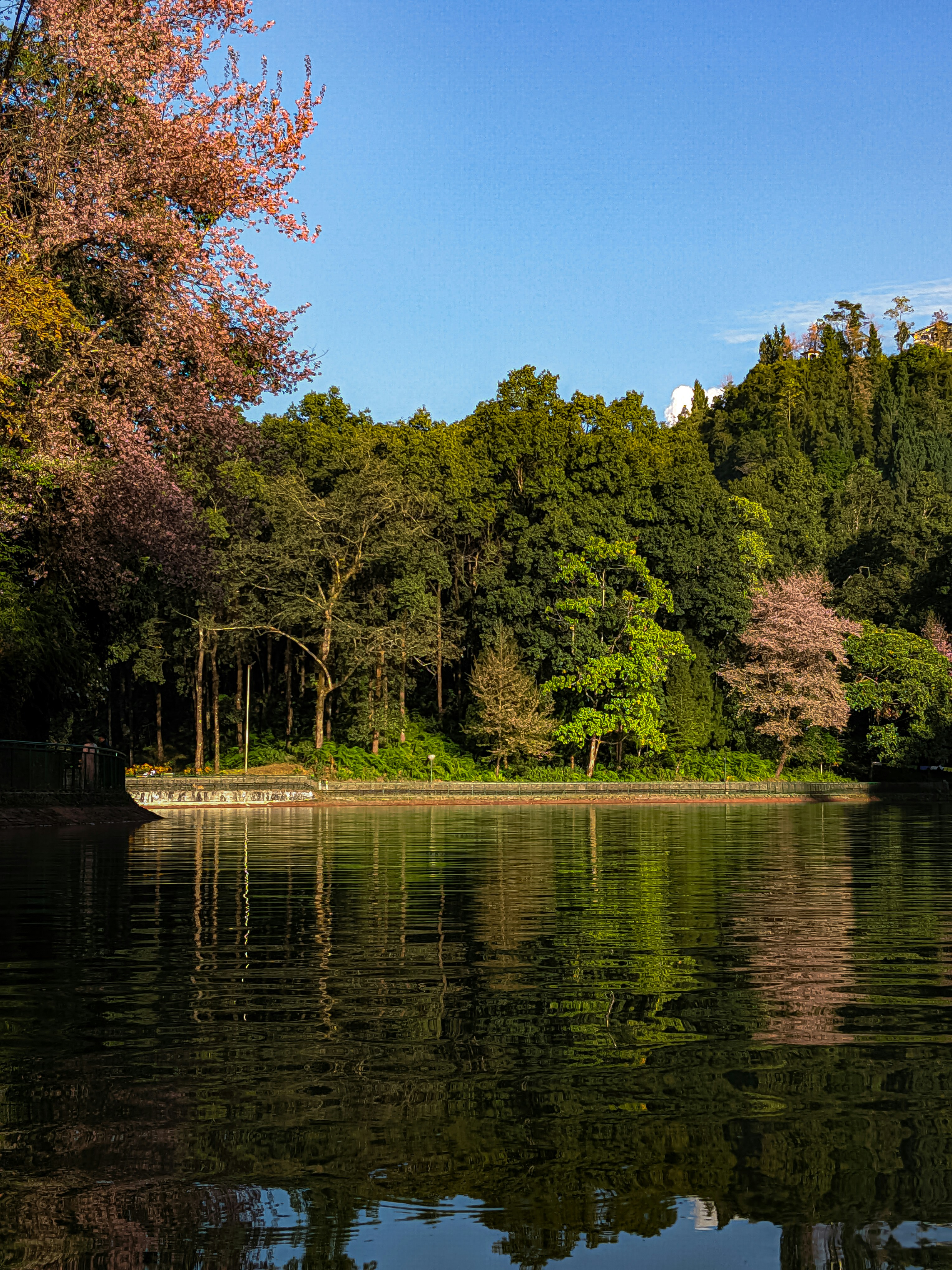 Photo by udai_tenma_30