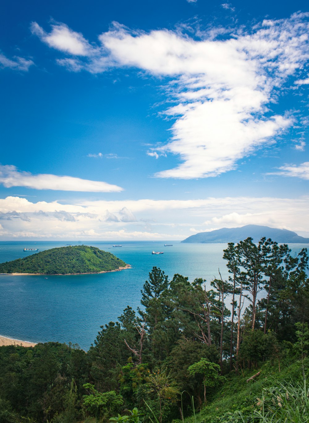 a large body of water surrounded by trees