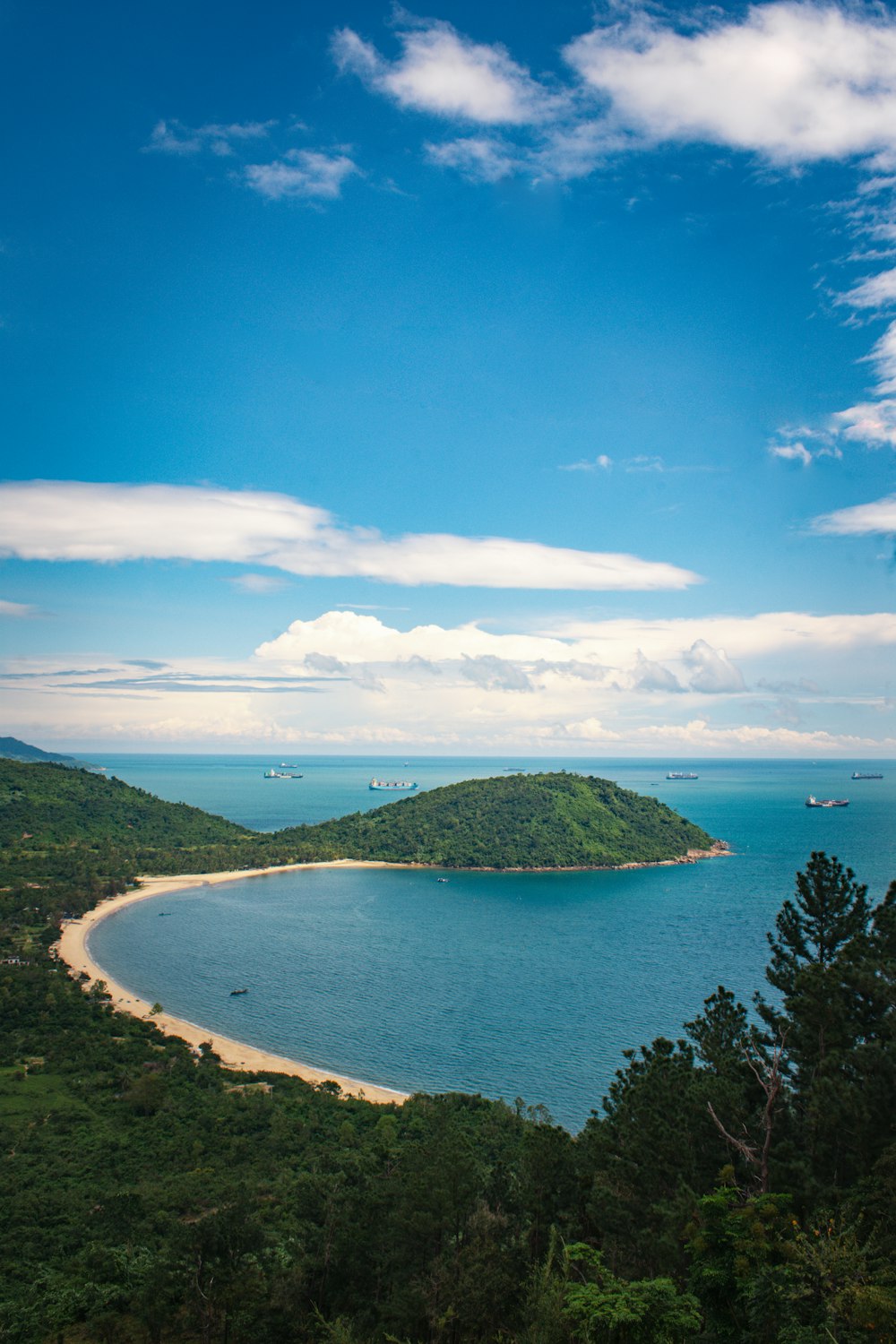 a large body of water surrounded by trees