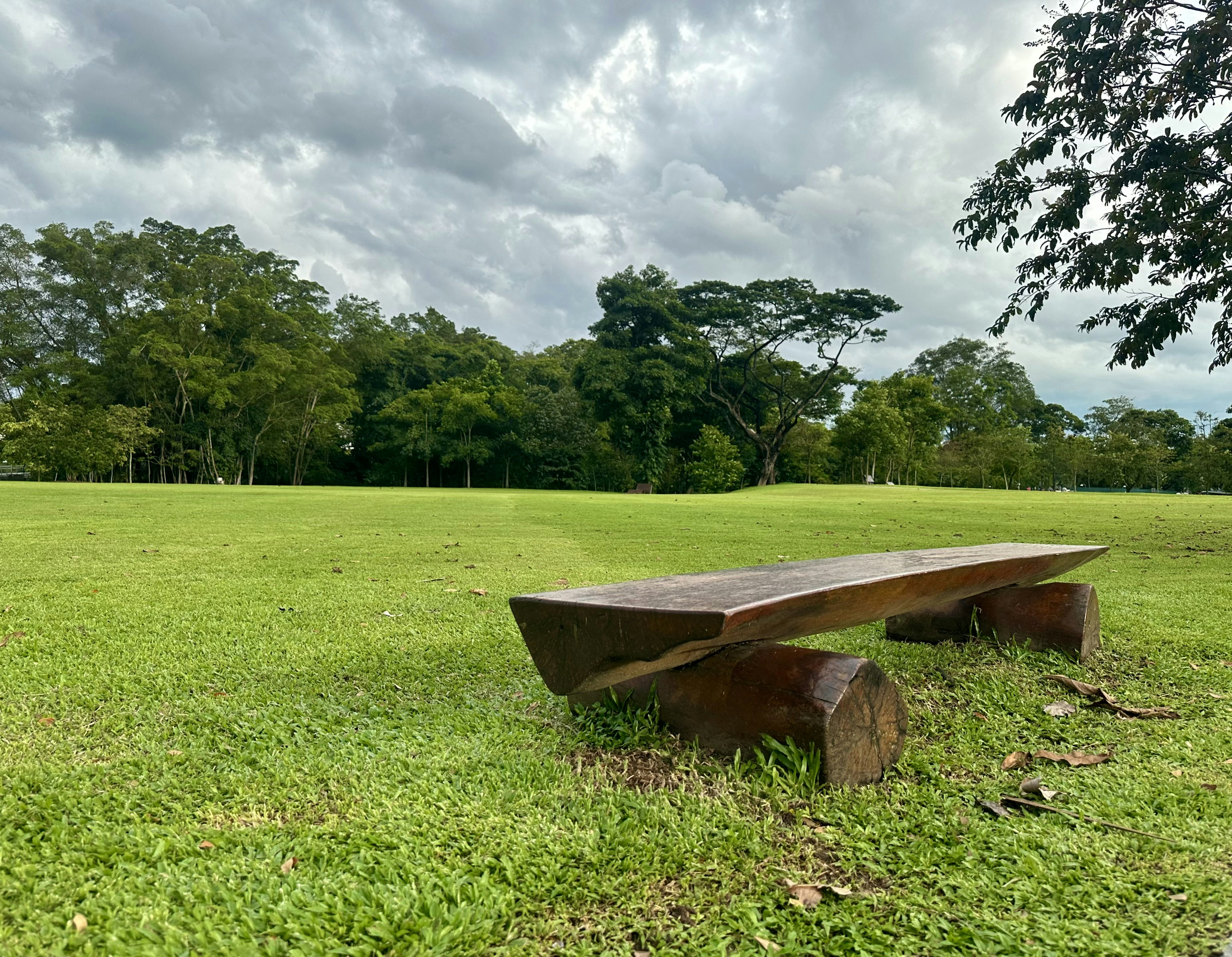 a wooden bench sitting on top of a lush green field