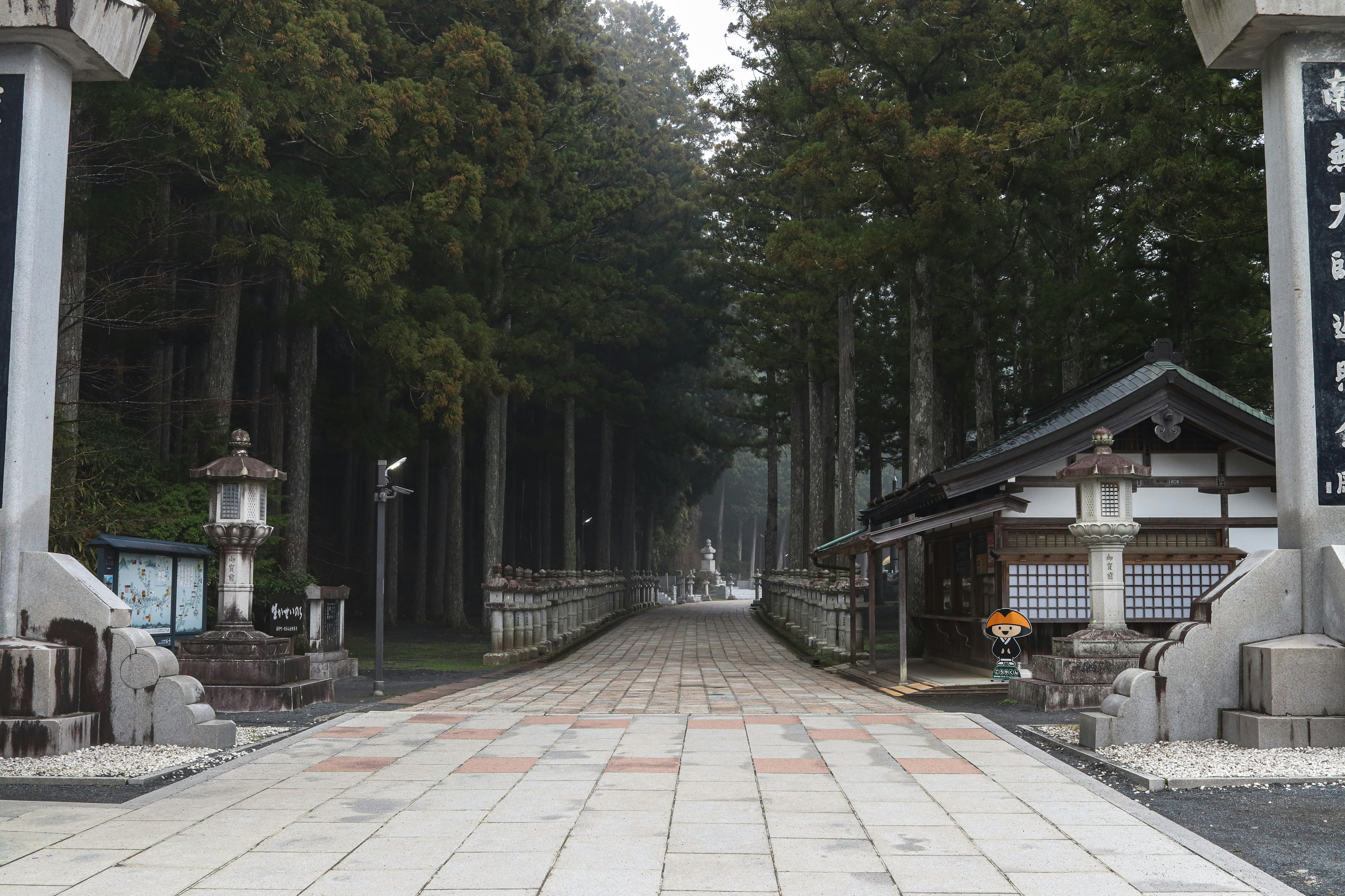a walkway lined with trees and lanterns in a park, 