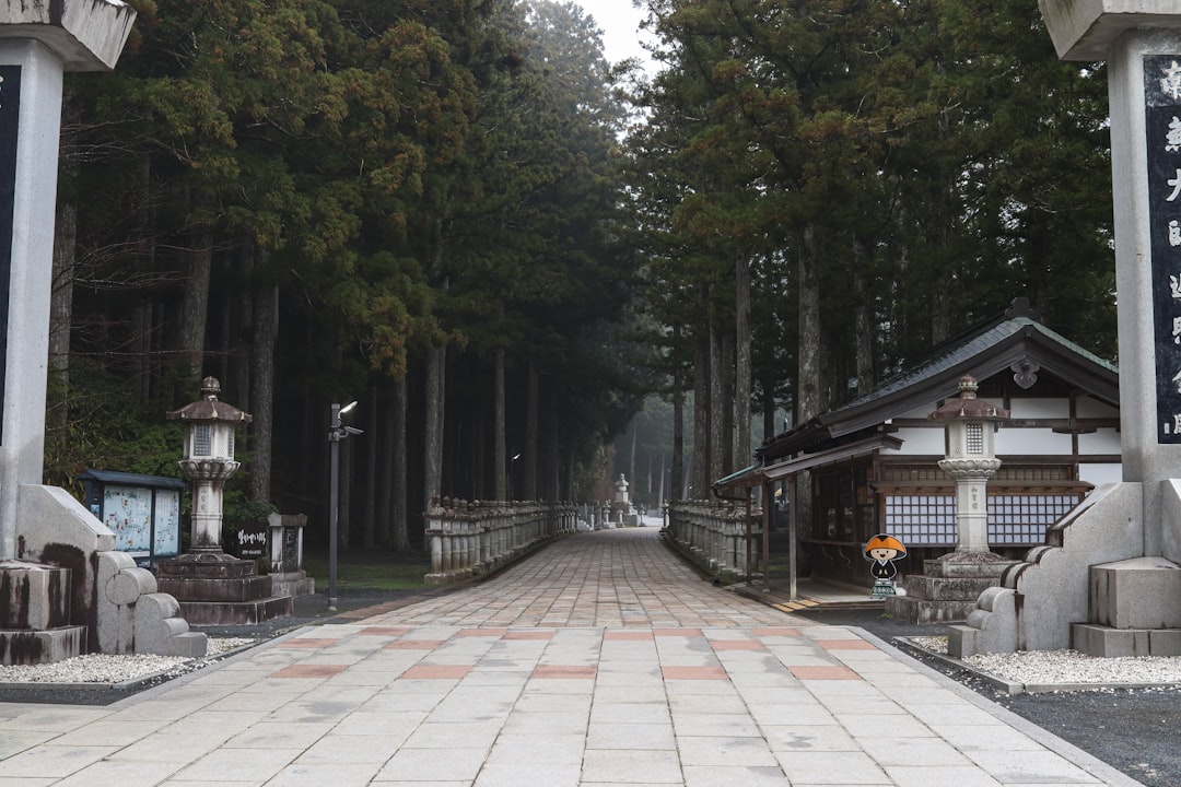 a walkway lined with trees and lanterns in a park,
