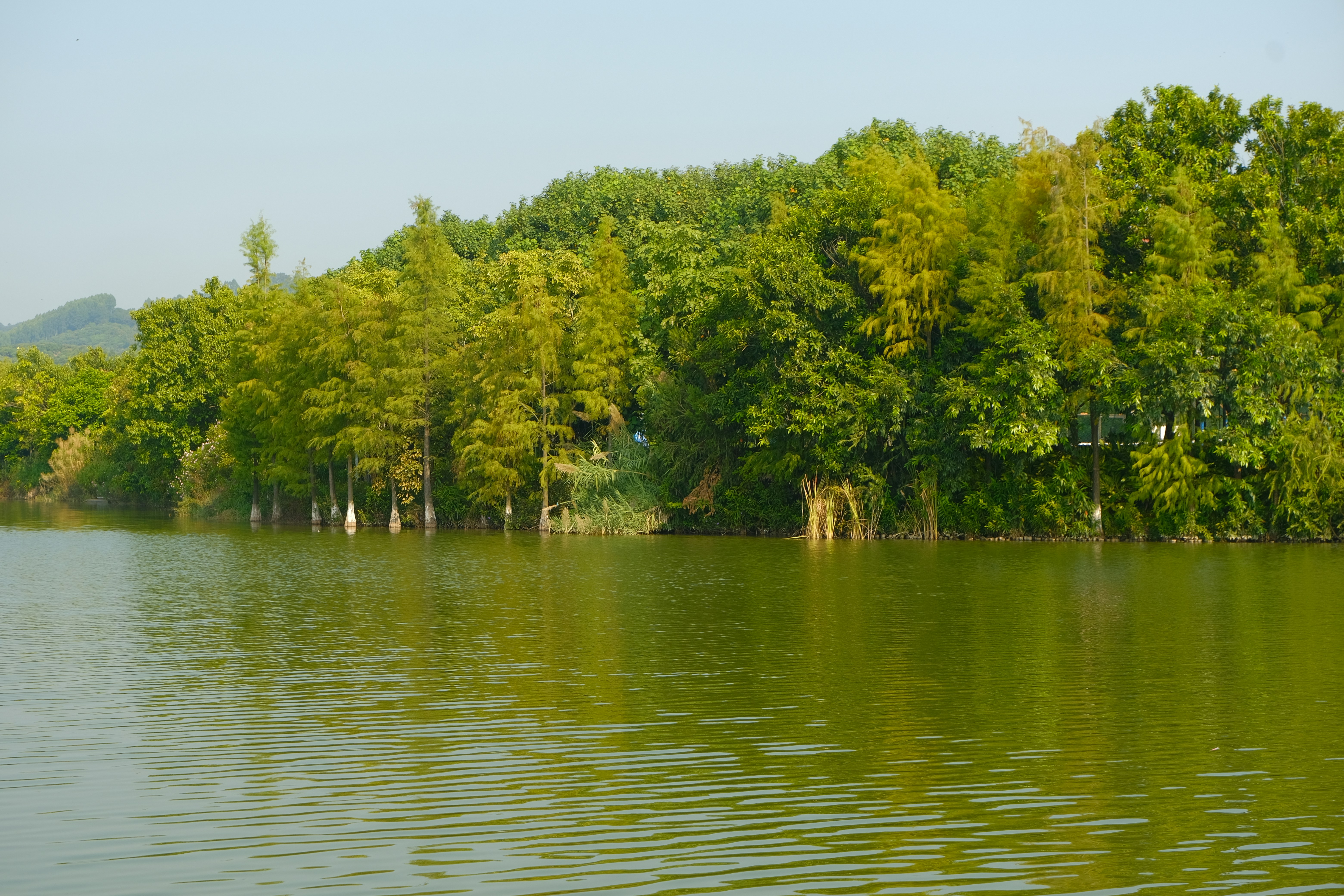 YPL destination photo