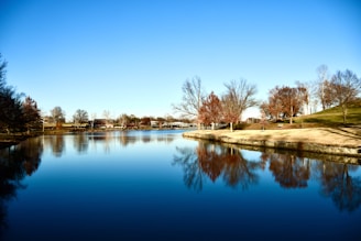 A serene lake reflecting autumn-colored trees in a peaceful English park.