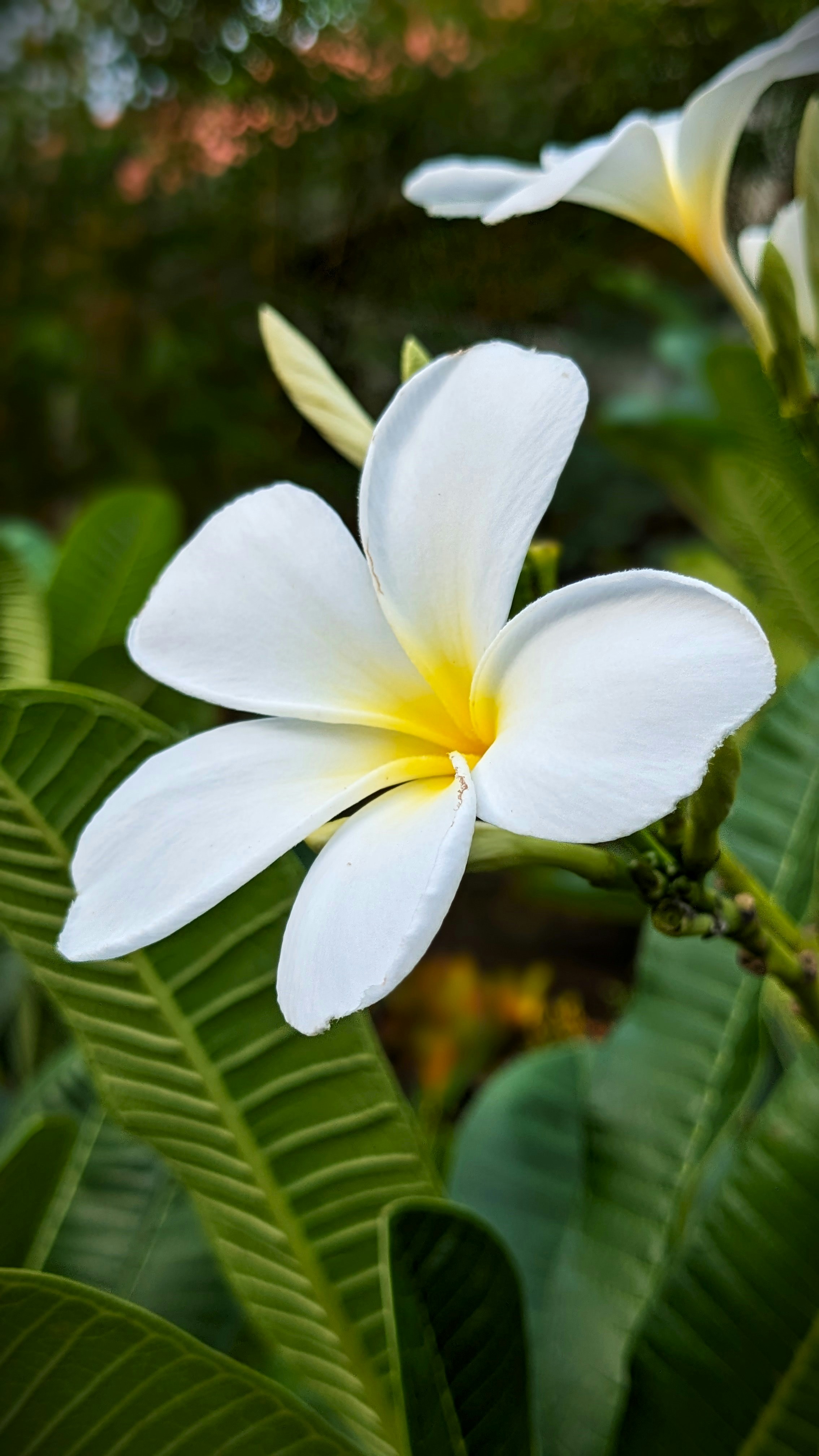 Photo by rishu_bhosale