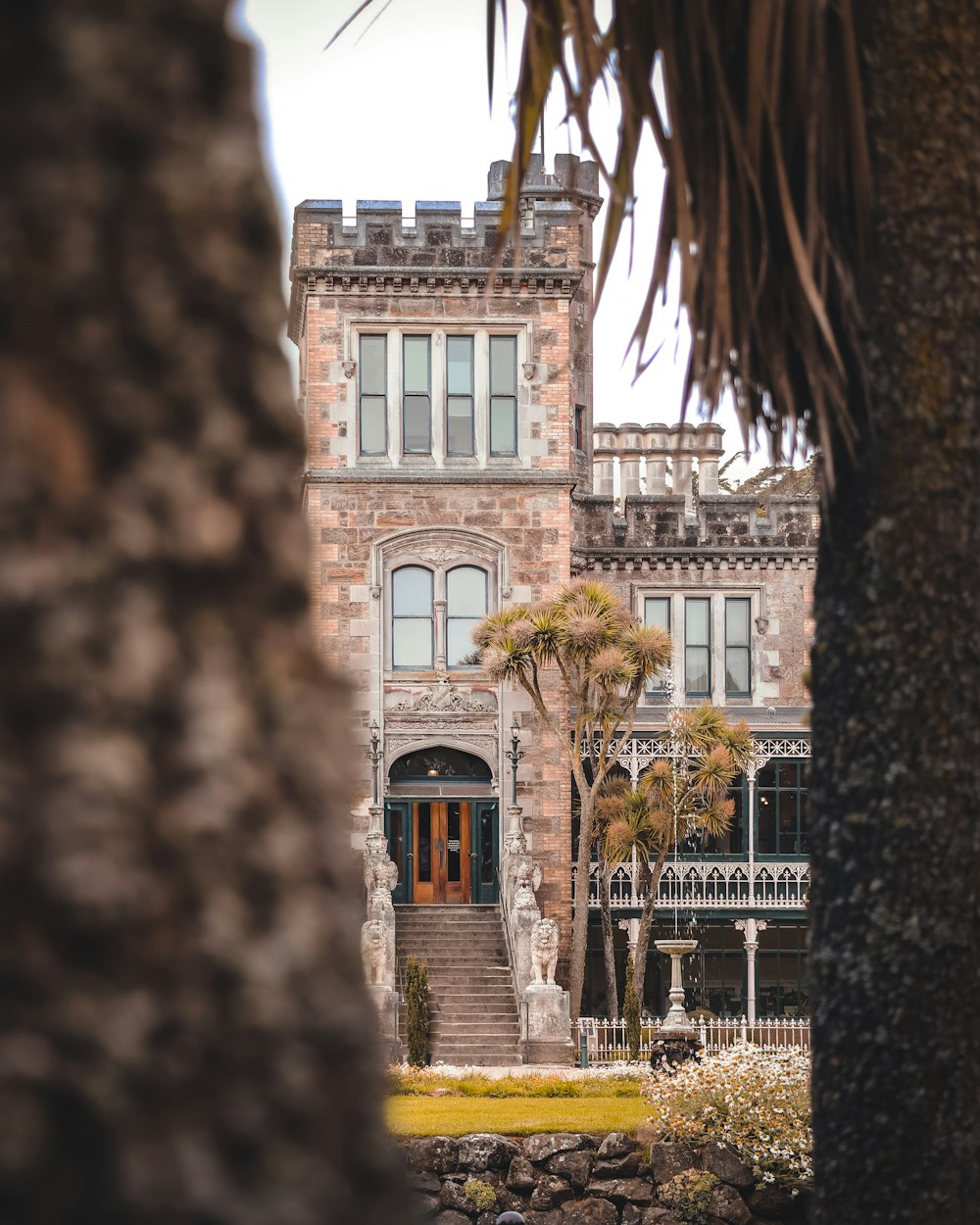 a house with a palm tree in front of it