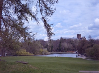A lush green landscape with a large, open lawn area in the foreground. A tree with bare branches frames the upper part of the scene. In the background, there is a calm pond bordered by trees with varying shades of green and brown. A historical building with a large tower is visible in the distance under a partly cloudy sky.