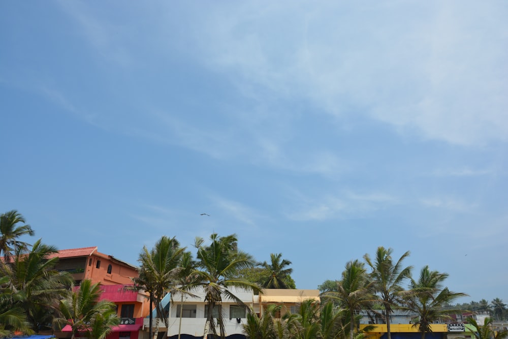 a row of houses on a beach with palm trees