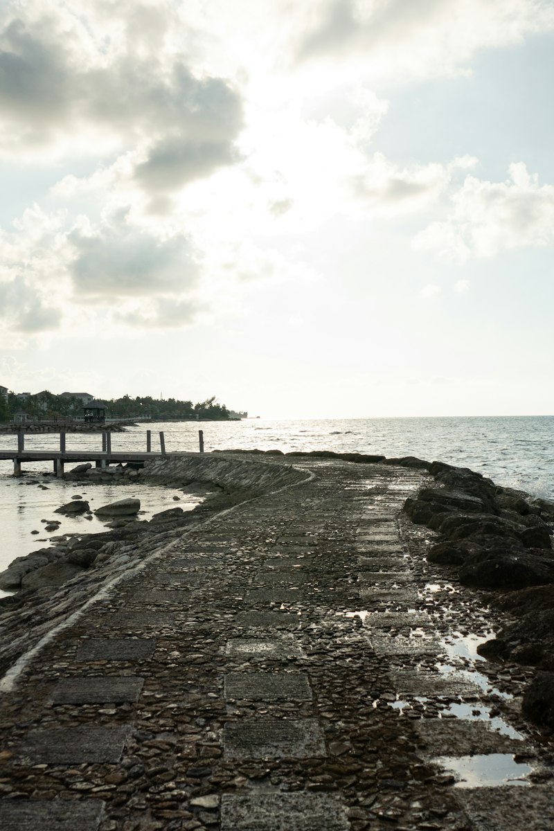 Montego Bay 5