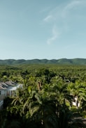 Beautiful Colombian finca surrounded by lush greenery.