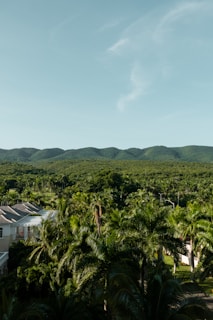 A scenic Colombian finca with lush greenery representing JVM Inversiones real estate investment