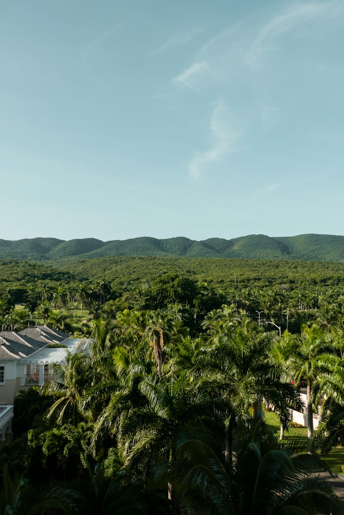 Lote Horizonte Morelos