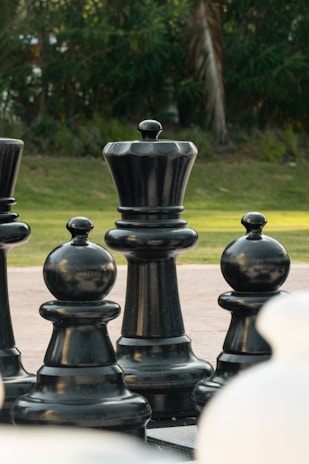 Large outdoor chess pieces are placed on a flat surface, surrounded by greenery. The pieces are black and prominently feature a king and pawns. The background includes blurred trees and grass.