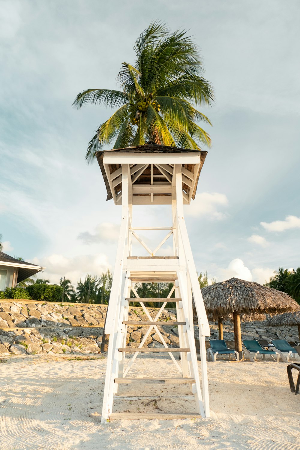 a lifeguard tower with a palm tree on top