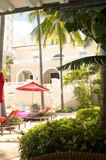 A tropical patio with lounge chairs under red umbrellas and palm trees, set against a backdrop of an elegant building with arched windows and balconies. The area is surrounded by lush greenery and sunlight filters through the leaves, creating a serene and inviting atmosphere.