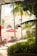 A tropical patio with lounge chairs under red umbrellas and palm trees, set against a backdrop of an elegant building with arched windows and balconies. The area is surrounded by lush greenery and sunlight filters through the leaves, creating a serene and inviting atmosphere.